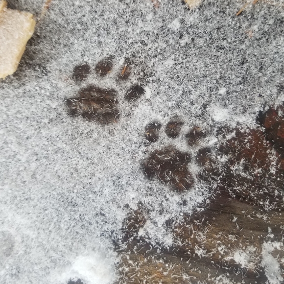 One woman's hoard... - Picture 3 of 3